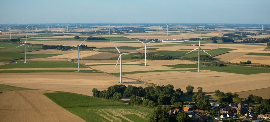 tilleuls_ligny thilloy (5)